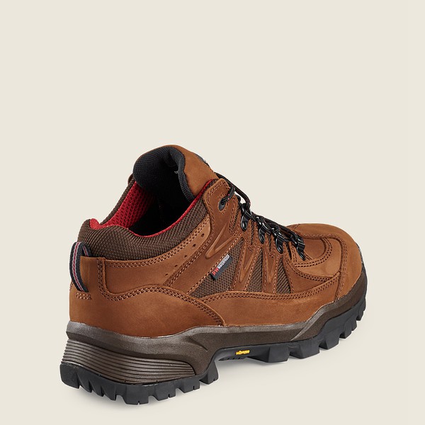 Bottes de Randonnée Red Wing - Truhiker - 3-Inch Waterproof Safety Toe - Marron - Homme 192SCTWOZ